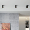 Накладной светодиодный светильник 25033/LED, золото, черный
