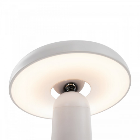 фото Аккумуляторный светильник Freya Mushroom FR6109TL-L4W, белый