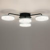 фото Черный, металл/акрил Люстра потолочная с ПДУ LED 55W 3000-6000К 220V DIDANA LEDIO, арт. 8236/4CL