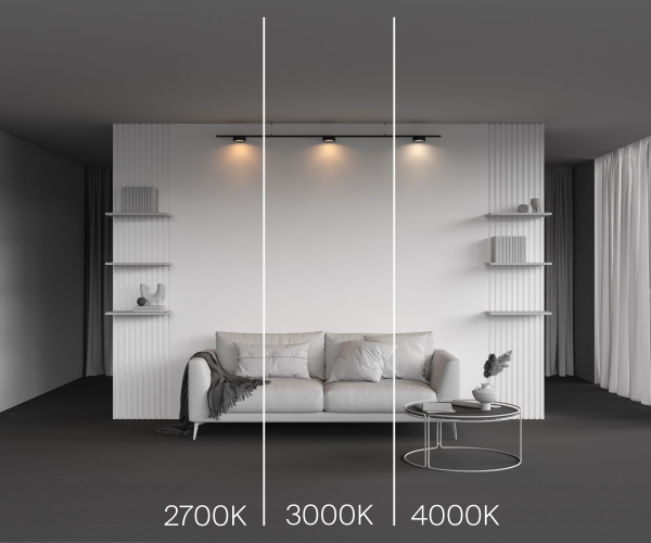 фото Трековый светильник Maytoni Technical Zon TR189-1-12W3K-B, черный