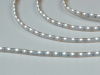 Светодиодная лента 315, 60 LED/м, 4,8 Вт/м, 12В, IP67, Цвет: Холодный белый, SWG31560-12-4.8-W-67, катушка 5 м