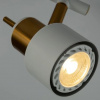 фото Спот Arte Lamp ALMACH A1906PL-2WH