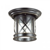 Уличный потолочный светильник, черный Odeon Light SATION, арт. 4045/1C