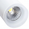 фото Трековый светильник Arte Lamp HUBBLE A6813PL-1WH