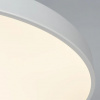 фото Потолочный светильник Arte Lamp ARENA A2671PL-1WH