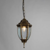 фото Уличный подвесной светильник Arte Lamp PEGASUS A3151SO-1BN