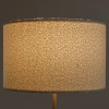 фото Торшер Arte Lamp CHARLIE A5071PN-1SS