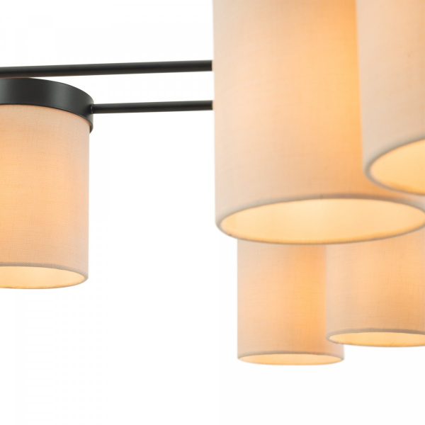 фото Потолочный светильник Freya Bogy FR5377CL-08B, черный