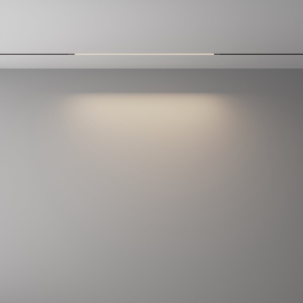 фото Трековый светильник Maytoni Technical Basis TR240-2-12W4K-B, черный