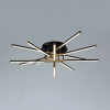фото Потолочная люстра Arte Lamp FERNANDO A2199PL-6BK
