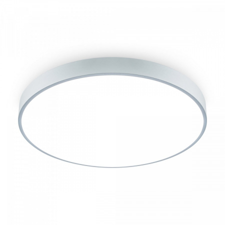 фото Потолочный светильник Freya FR6129CL-L80GR, серый