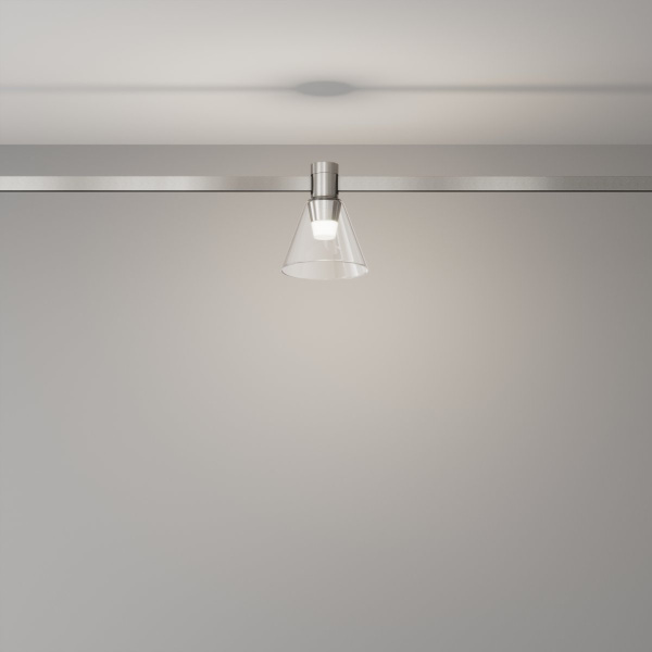 фото Трековый светильник Maytoni Technical Bianca TR147-1-3W4K-PT, платина