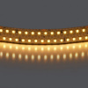 Лента теплого белого свечения 24V Lightstar 422003