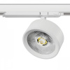 фото Светильник для трековой системы Quattro LED 30W с управлением DALI Alta Pro, белый Lightstar A5636DALI