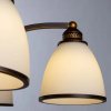 фото Подвесная люстра Arte Lamp BONITO A9518LM-5BA
