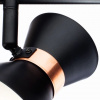 фото Спот Arte Lamp BALTIMORE A1406AP-2BK
