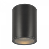 Уличный потолочный светильник Maytoni Outdoor Bar O306CL-L7GF, графит