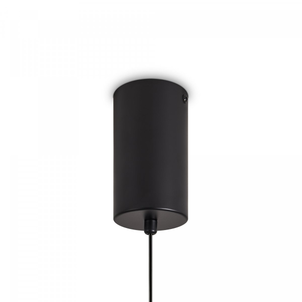 фото Подвесной светильник Freya Acoustic FR5494PL-L9GR, черный