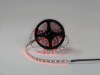 фото Светодиодная лента 5050, 60 LED/м, 19,2 Вт/м, 24В, IP20, Цвет: RGB + холодный белый, SWG560-24-19.2-RGB+W-M, катушка 5 м