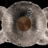 фото Подвесная люстра Arte Lamp CHERISH A2097LM-90GO