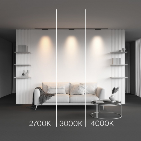 фото Трековый светильник Maytoni Technical Points TR193-1-10W2.7K-M-B, черный