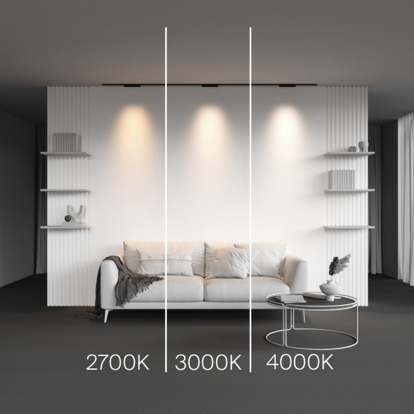 фото Трековый светильник Maytoni Technical Points TR193-1-10W2.7K-M-B, черный