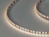 Лента светодиодная SWG DSG 2835 NW 120L-V24-IP33, 4000 K, 600 LED, 14,4W/m, LUX, катушка 5 м