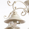 фото Потолочная люстра Arte Lamp GRAZIOSO A4577PL-5WG