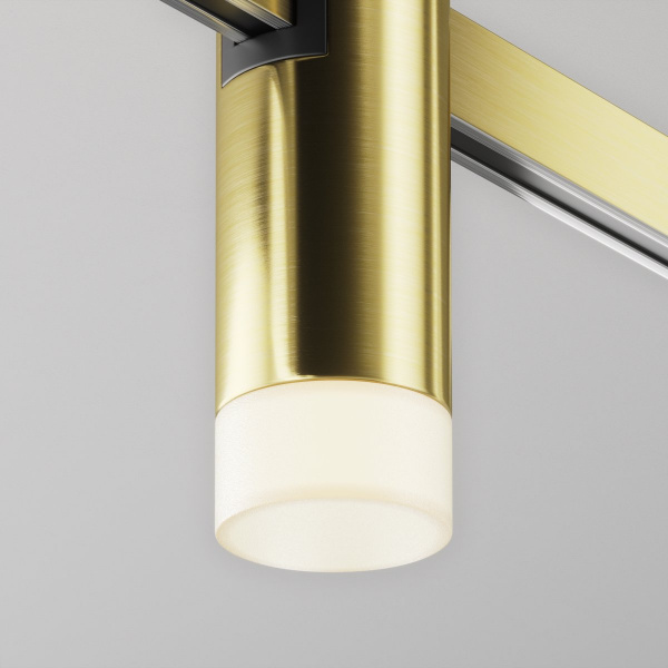 фото Трековый светильник Maytoni Technical Skim TR145-1-3W3K-W-BS, латунь