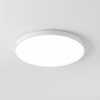 Светильник WC3045LED 45W 3CCT белый