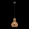 фото Подвесной светильник Maytoni Roots MOD192PL-01W1, черный