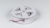 фото Лента светодиодная SWG 4x DSG 2835 WW 280L-V24-IP33, 3000 K, 700LED, 26W/m, 2500*36*2 mm, LUX, катушка 2.5 м