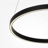 фото Подвесной светильник Maytoni Rim MOD058PL-L32BK, черный