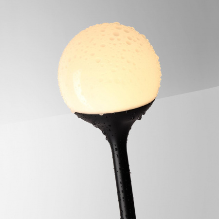фото Светильник черный/металл IP65 LED 3W 195Лм 3000K 200° 12-24V DEW (нужен драйвер 357781/357782) NATURE, арт. 7120/3GLB