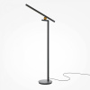 фото Торшер Maytoni Empathy MOD363FL-L14B3K, черный