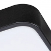 фото Потолочный светильник Arte Lamp SCENA A2669PL-1BK