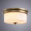 фото Потолочный светильник Arte Lamp ALONZO A1735PL-3SR