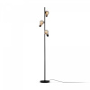 фото Торшер Freya Evidence FR5372FL-03B, черный