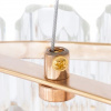 фото Подвесная люстра Arte Lamp JASTIN A2848SP-5GO