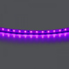 Лента цветного свечения 24V, фиолетовый Lightstar 420518