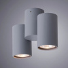 фото Спот Arte Lamp GAVROCHE A1511PL-2GY