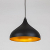 фото Подвесной светильник Arte Lamp CARMEL A7076SP-1BK