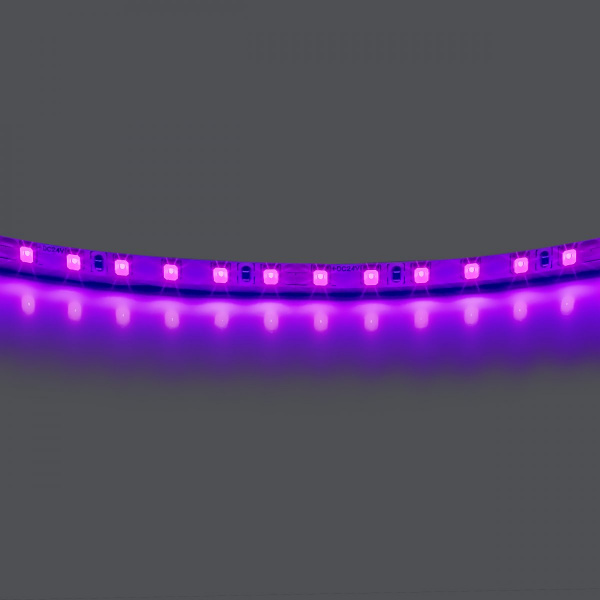 Лента цветного свечения 24V, фиолетовый Lightstar 420518