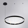 фото Подвесная люстра ARTE LAMP RICCO A1874SP-45BK