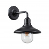 Черный/стекло Ландшафтный настен.светильник E27 1*60W IP44 CAMPA NATURE, арт. 4965/1W
