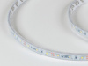 фото Светодиодная лента 2835, 60 LED/м, 4,8 Вт/м, 12В, IP66, 3M, Цвет: Холодный белый, SWG260-12-4.8-W-66-M, катушка 5 м