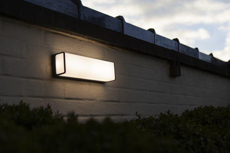 фото Светильник  WC2125 уличный 220V LED COB 34W белого цвета. Цвет: серый