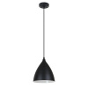 Подвесной светильник Arte Lamp LARK A7075SP-1BK