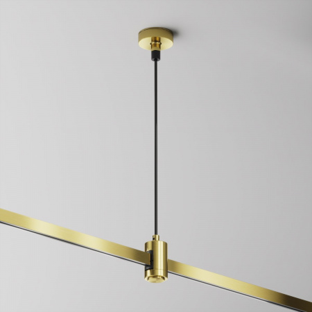 фото Подвес тросовый Hang с вводом питания Flarity латунь Maytoni Technical TRA157SW-B1-BS