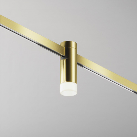 фото Трековый светильник Maytoni Technical Skim TR145-1-3W4K-W-BS, латунь